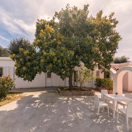 Vila Casa Yucca Forio di Ischia Exteriér fotografie