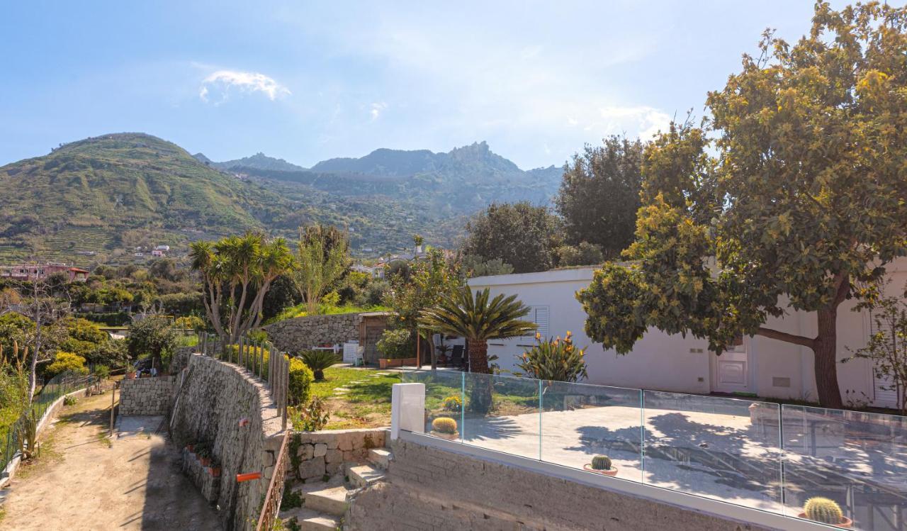Vila Casa Yucca Forio di Ischia Exteriér fotografie