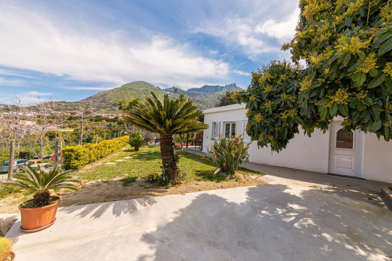 Vila Casa Yucca Forio di Ischia Exteriér fotografie