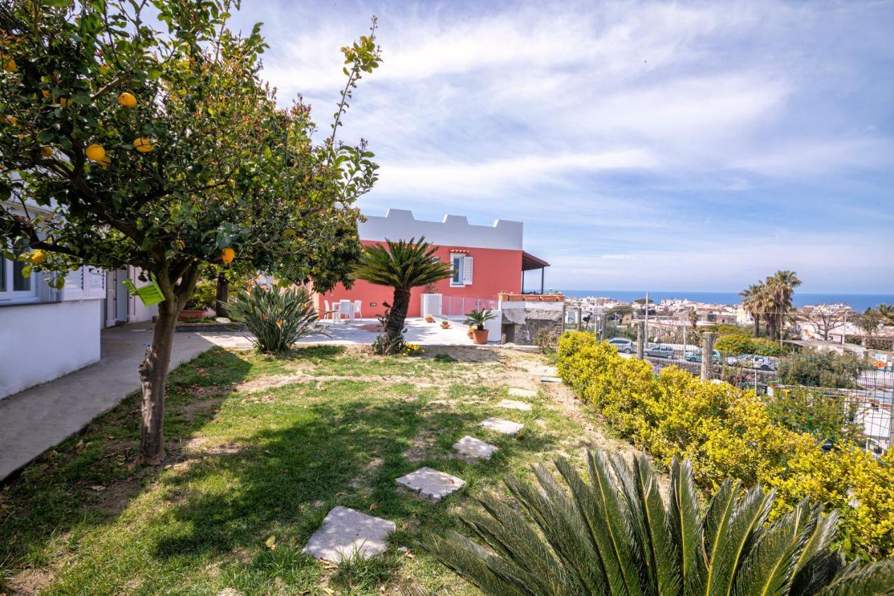 Vila Casa Yucca Forio di Ischia Exteriér fotografie
