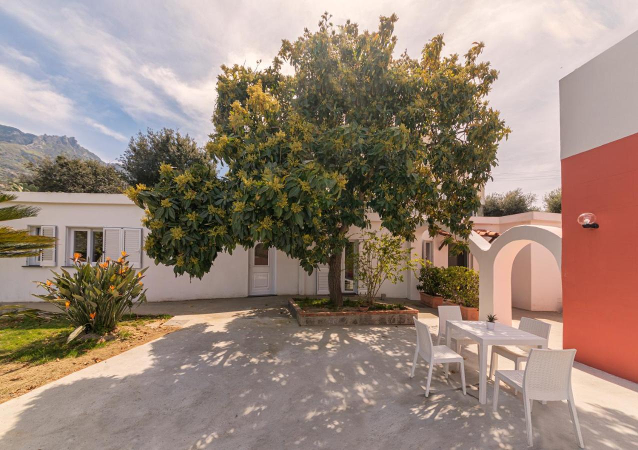 Vila Casa Yucca Forio di Ischia Exteriér fotografie