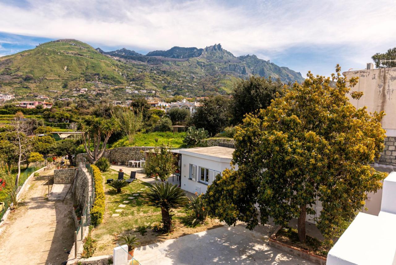 Vila Casa Yucca Forio di Ischia Exteriér fotografie